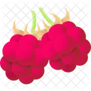 Thimbleberry Beeren Beerenfrucht Symbol