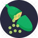 Exotische Fruchte Fingerlimette Limette Icon