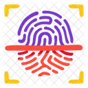 Fingerprint Biometric Scan Icon