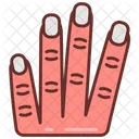 Fingers Hand Four Fingers Icon