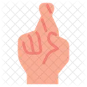 Fingers Crossed Wish Hand Icon