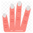 Fingers Hand Four Fingers Icon