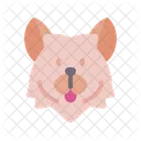 Finnish spitz  Icon