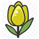 Fiore  Icon