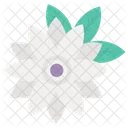 Fiore  Icon