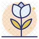 Fiore  Icon