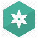 Fiore  Icon