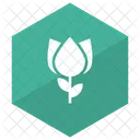 Fiore  Icon