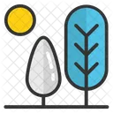 Fir Tree Icon
