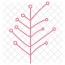 Christmas Tree Xmas Tree Conical Tree Symbol