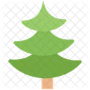 Poplar Tree Fir Tree Pine Tree Icon