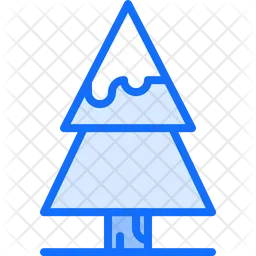 Fir Tree  Icon