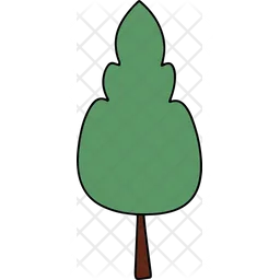 Fir tree  Icon