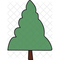 Fir tree  Icon