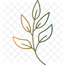 Fir Tree Branch  Icon