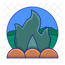 Fire  Icon