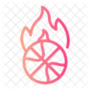 Fire Heat Flame Icon