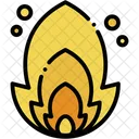 Fire  Icon