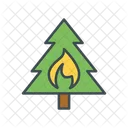 Fire Burning Tree Danger Icon