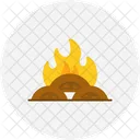 Fire Burn Flame Icon