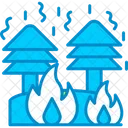 Fire Burning Conflagration Icon