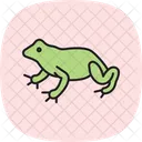 Fire Bellied Toad Firebelliedtoad Amphibian Icon