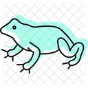 Fire Bellied Toad Icon