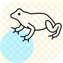 Fire Bellied Toad Firebelliedtoad Amphibian Icon