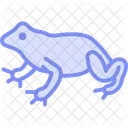 Fire Bellied Toad Icon