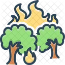 Fire Explosion Fire Forest Fire Icon