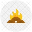 Fire  Icon