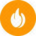 Fire  Icon