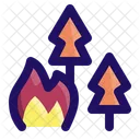 Tree Fire Forest Icon