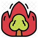 Fire Risk Risk Tree Icon