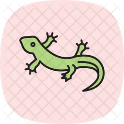 Fire salamander  Icon