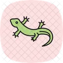 Fire Salamander Firesalamander Amphibian Icon