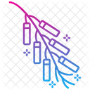 Firecracker  Icon