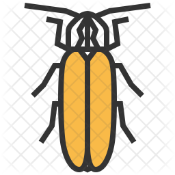 Firefly Icon