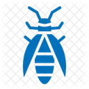 Firefly Entomology Bug Icon