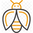 Firefly Lightning Bug Insect Icon