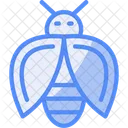 Firefly Lightning Bug Insect Icon