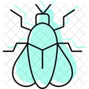 Firefly Insect Light Icon