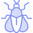 Firefly Insect Light Icon