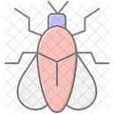 Firefly Insect Light Icon