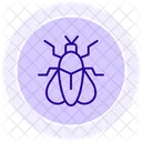 Firefly Insect Light Icon