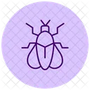 Firefly Insect Light Icon