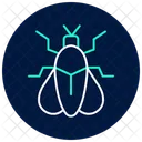 Firefly Insect Light Icon