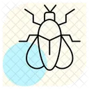 Firefly Insect Light Icon