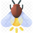 Firefly Insect Bug Icon
