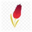 Firetail Flower  Symbol